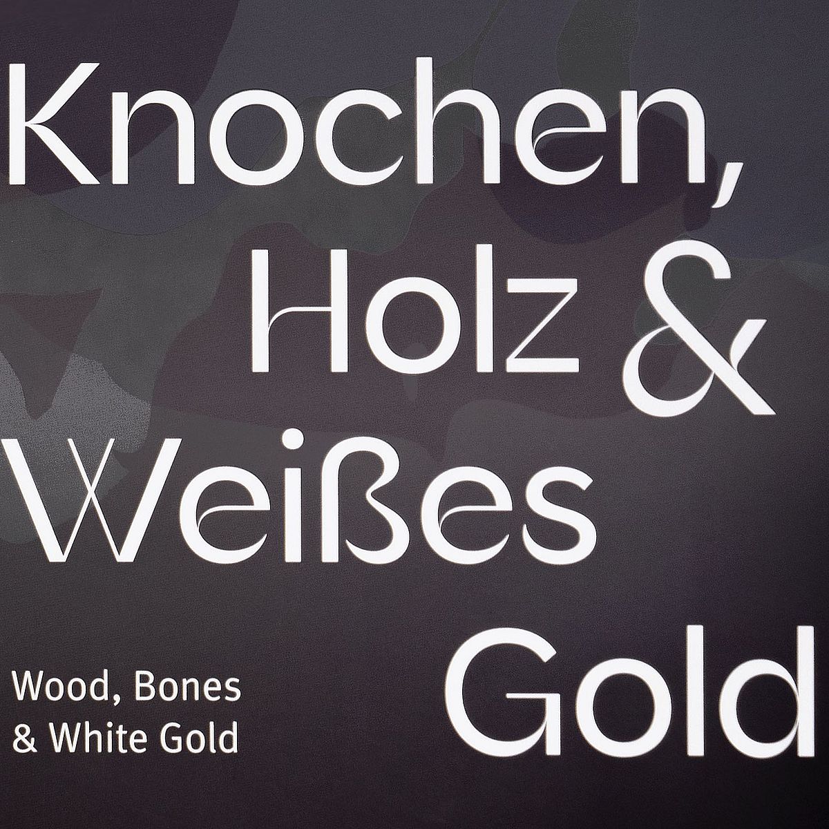 Cover des Katalogs zur Ausstellung "Knochen, Holz & weißes Gold"